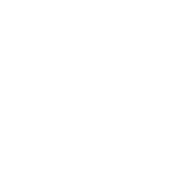 LeakSight